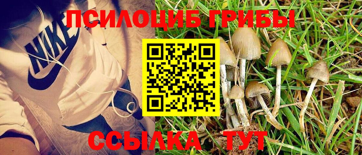 Псилоцибиновые грибы прущие грибы Салехард