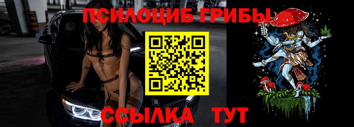Галлюциногенные грибы Psilocybe  Вход с VPN  купить  цена  Салехард 
